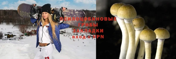 герыч Новодвинск