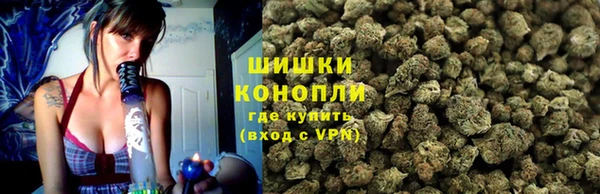 дмт Нея