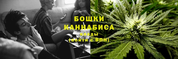 дмт Нея