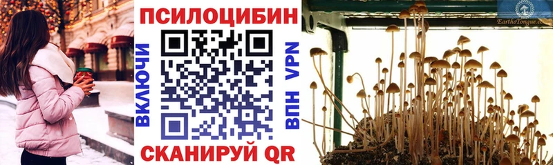 Галлюциногенные грибы мухоморы  где купить   Киренск 