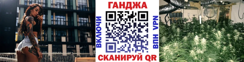 Конопля сатива  Киренск 